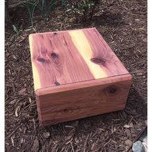 Load image into Gallery viewer, Together Urn Dark Wood